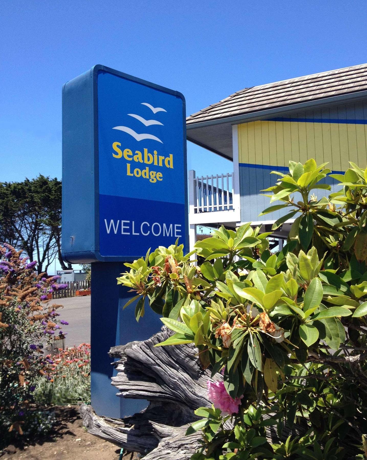 Seabird Lodge Fort Bragg Extérieur photo